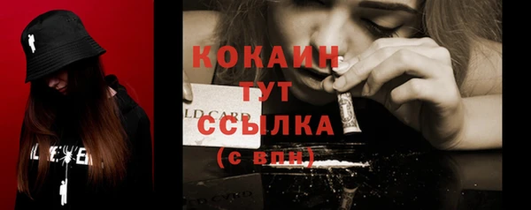 крисы Нея