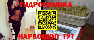 трава Новодвинск