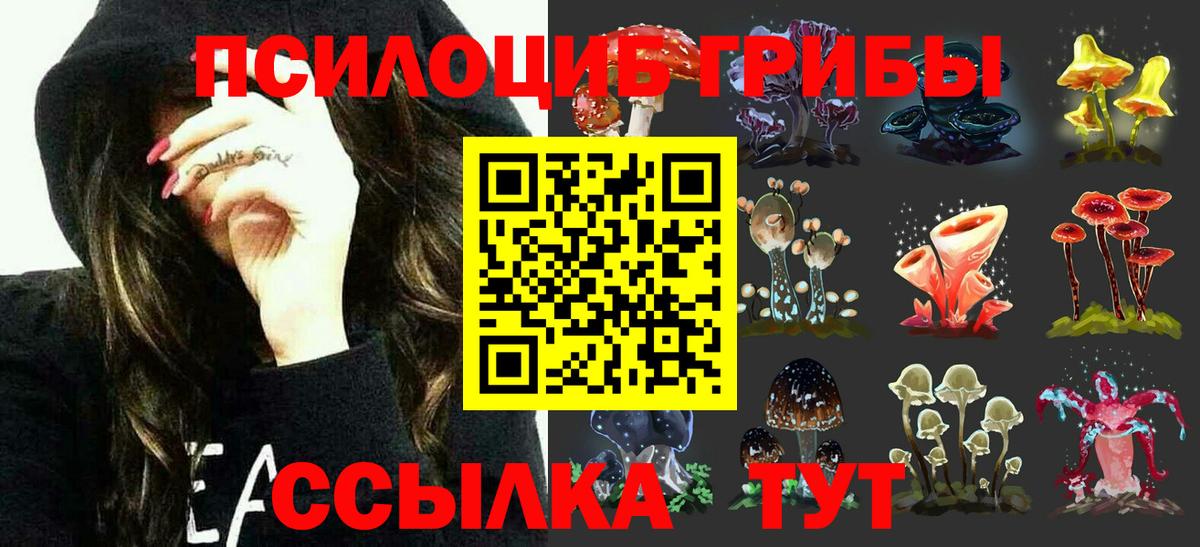Галлюциногенные грибы Psilocybine cubensis Избербаш