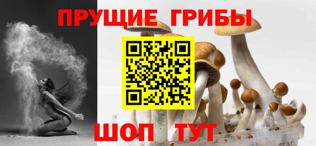 купить   Вход с VPN  Избербаш  Псилоцибиновые грибы Magic Shrooms  Галлюциногенные грибы MAGIC MUSHROOMS 